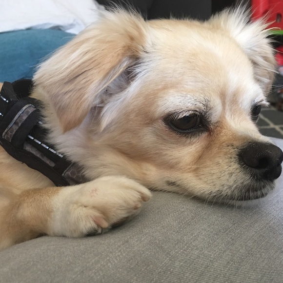 Meet the Posher, Megan - Picture 3 of 3